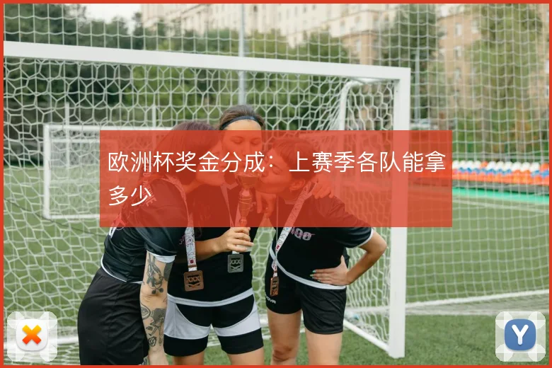 欧洲杯奖金分成：上赛季各队能拿多少