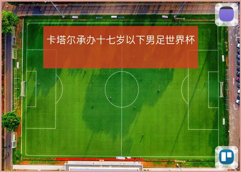 卡塔尔承办十七岁以下男足世界杯