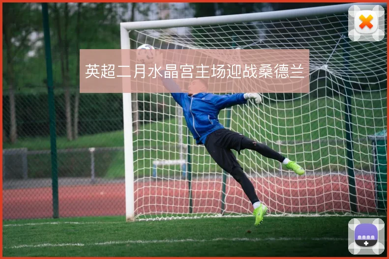 英超二月水晶宫主场迎战桑德兰
